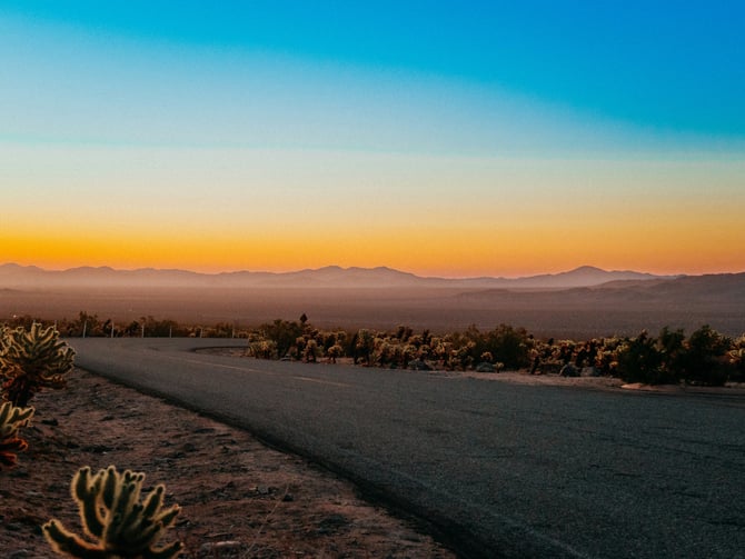 Joshua Tree road at sunrise